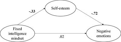 Fixed Intelligence Mindset, Self-Esteem, and Failure-Related Negative Emotions: A Cross-Cultural Mediation Model